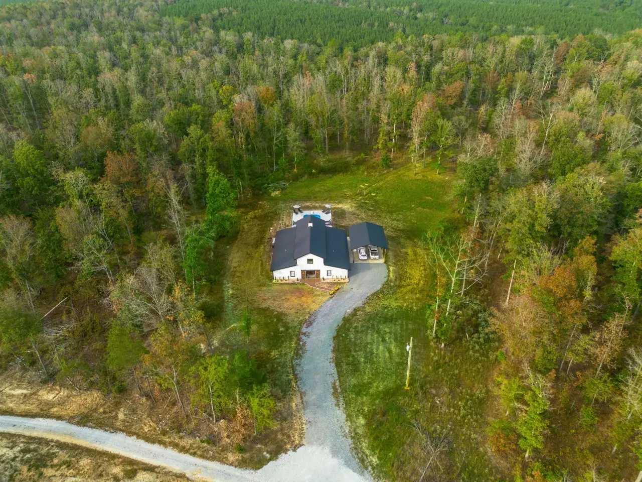 Large Image