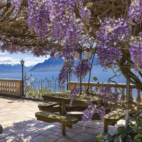 EXCEPTIONAL PROPERTY IN THE HEART OF LAVAUX