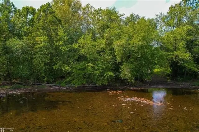 Large Image