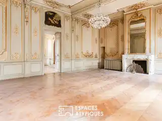 Grand 19th-Century Apartment in Carmes Mansion