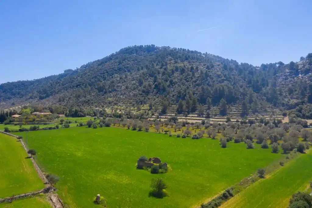 Pretty Rustic Finca with a House to Renovate Near Orient