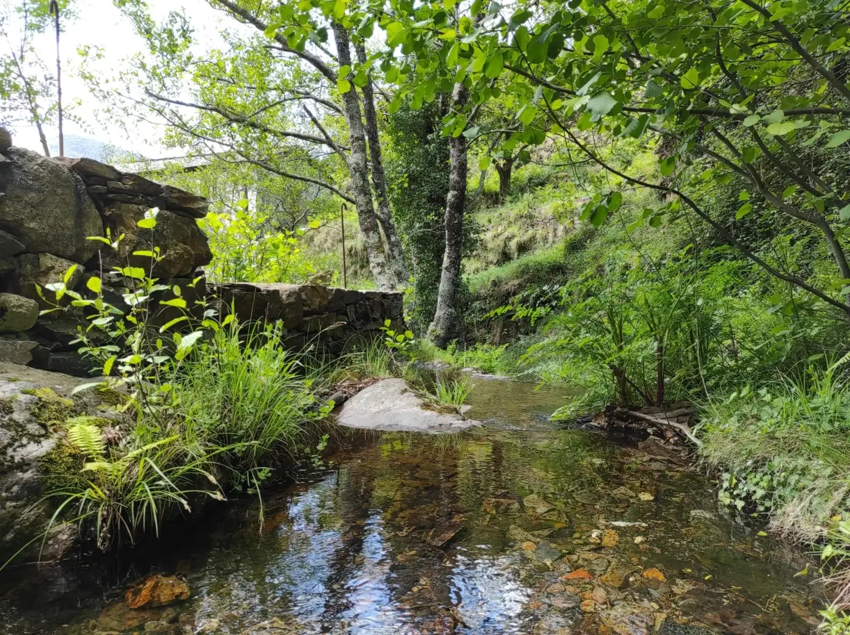 Small Image