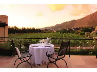 Vineyard Serenity Meets Modern Luxury Living