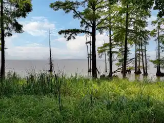 Thoughtfully Designed and Executed Home Near James River