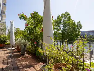 Living at the Highest Level on the Pier