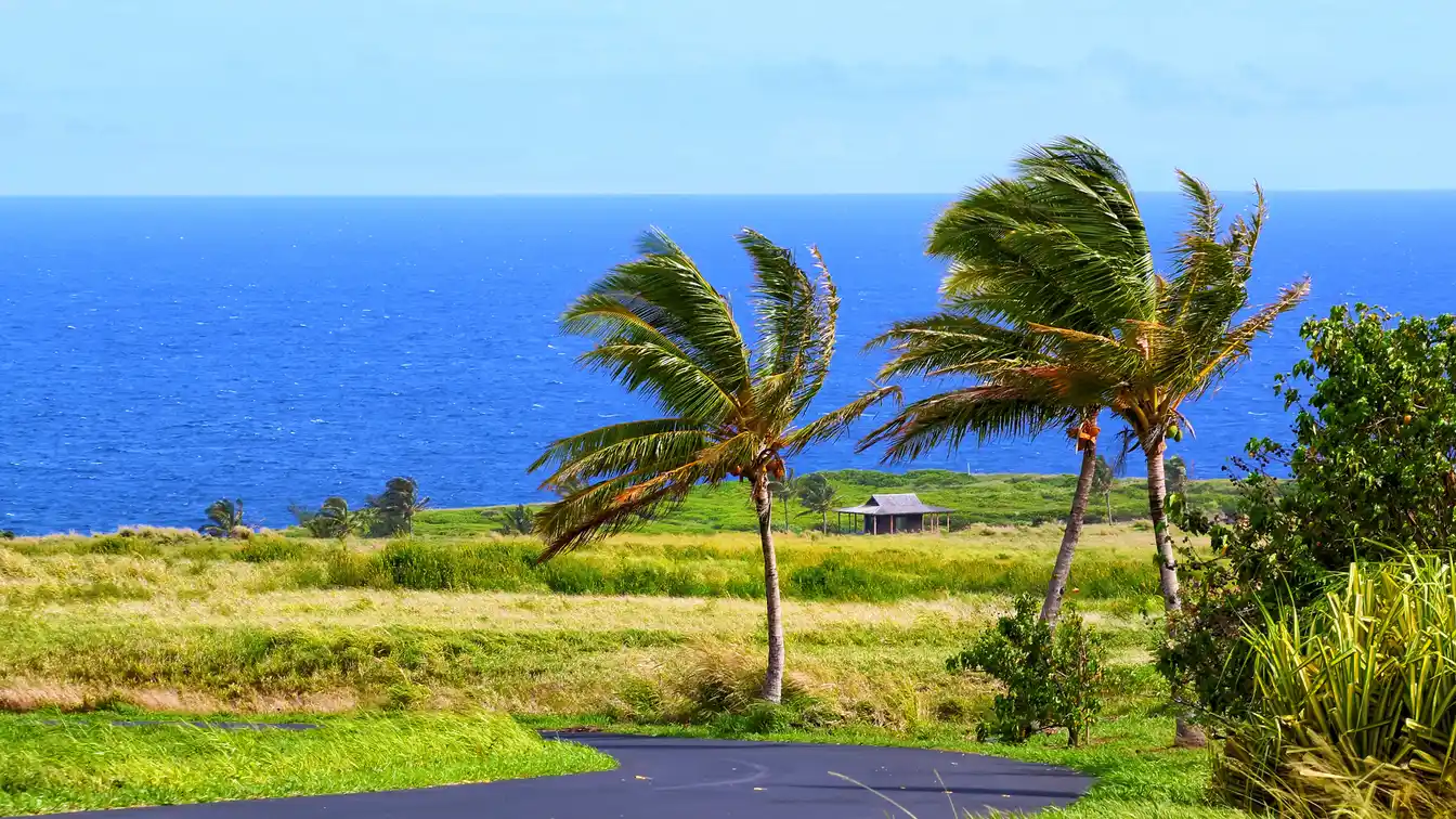 Over 15 Acres in Pe'ahi Farms