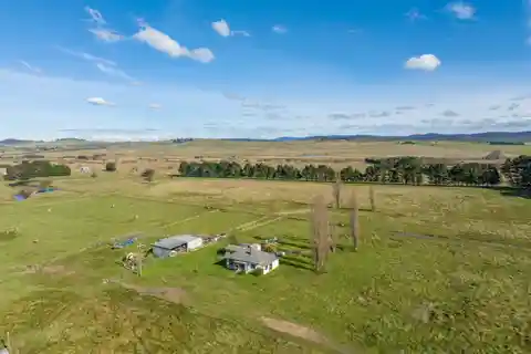 Opportunity in Historic Braidwood