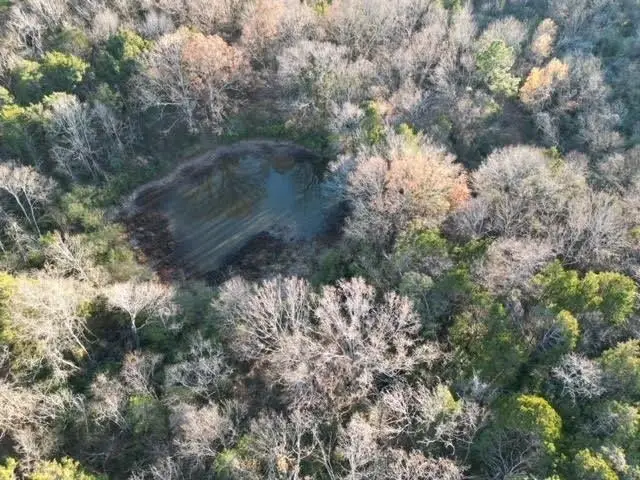 Large Image