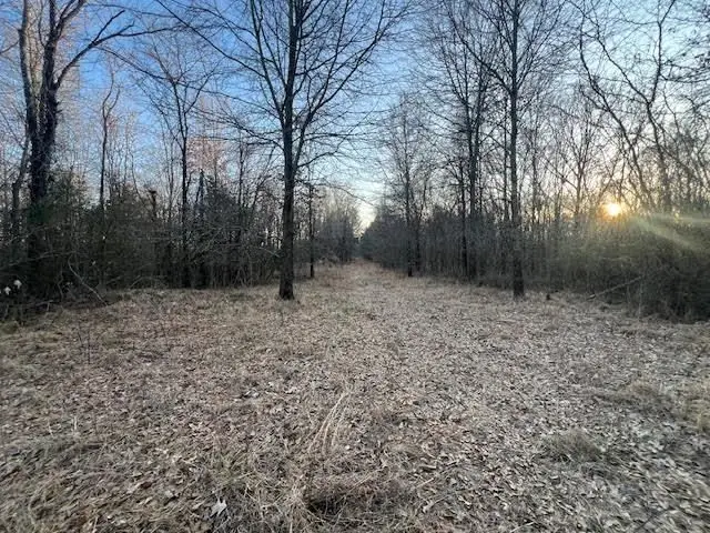 Small Image