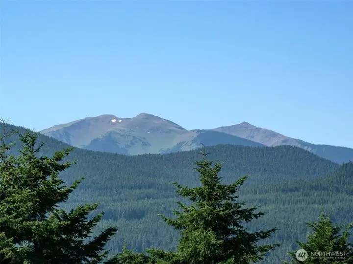 Large Image