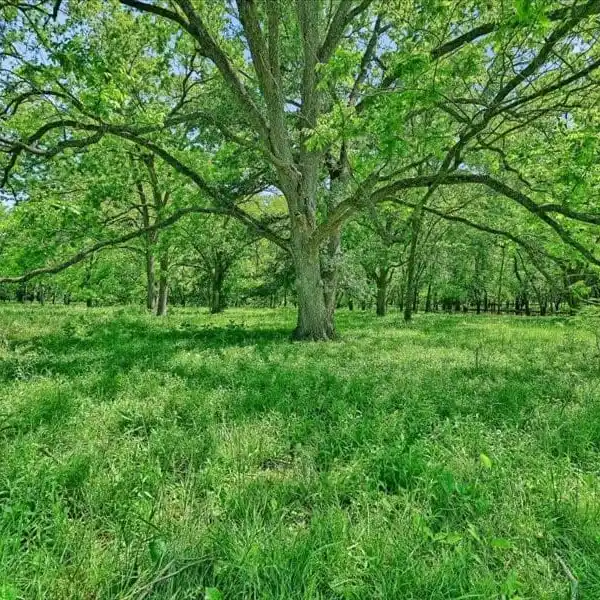 AN UNTOUCHED PARADISE