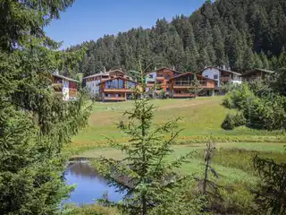 Stunning Lodging at PrivÀ Alpine Lodge