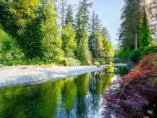 Amazing In-Town Riverfront Property