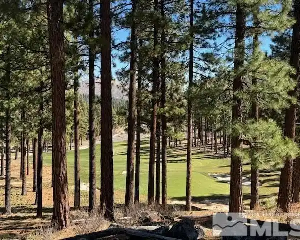 EXCITING OPPORTUNITY AT CLEAR CREEK TAHOE