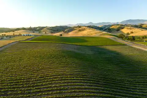 20 Acres of Lush Fertile Land