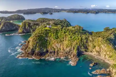 Eagles on Motuarohia