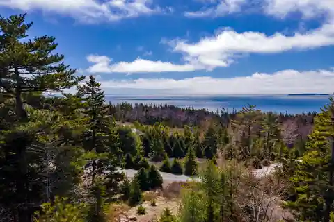 Over Five Acres Atop Ox Hill