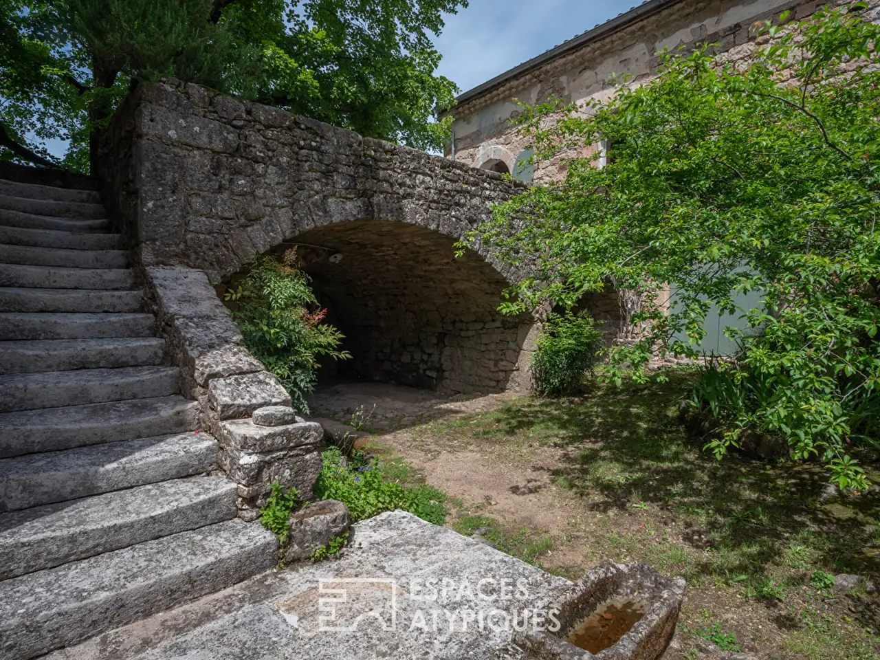 Large Image