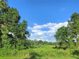 Over 32 Acres in Marion County