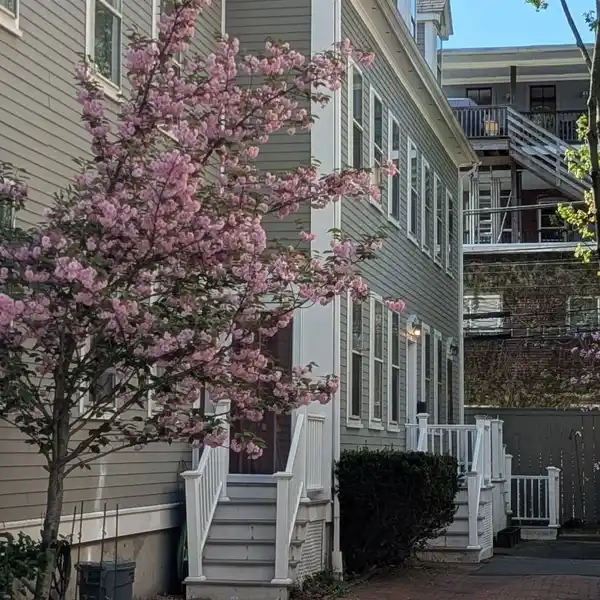 CHARMING TOWNHOUSE IN BROOKLINE VILLAGE