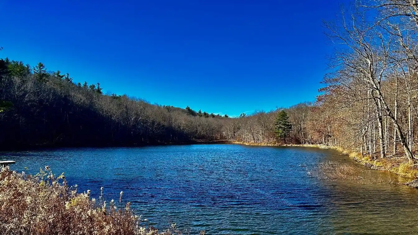 517 Acres for Active Country Living