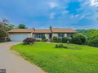 Quiet Horse Farm in the Outskirts of Westminster City