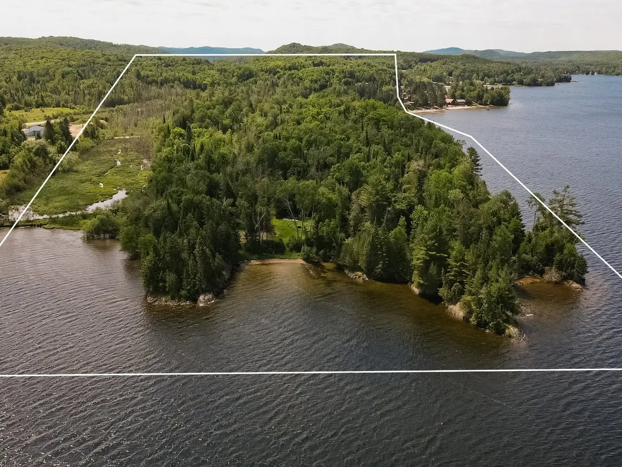 Large Image