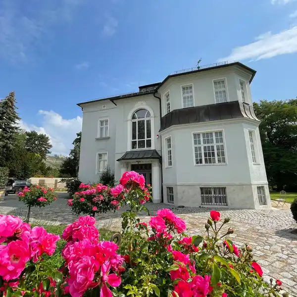 RENOVATED CIRCA 1870 VILLA WITH VINEYARD VIEWS