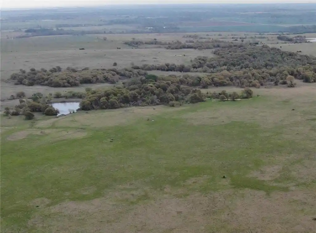 315 Acres in Woodson County