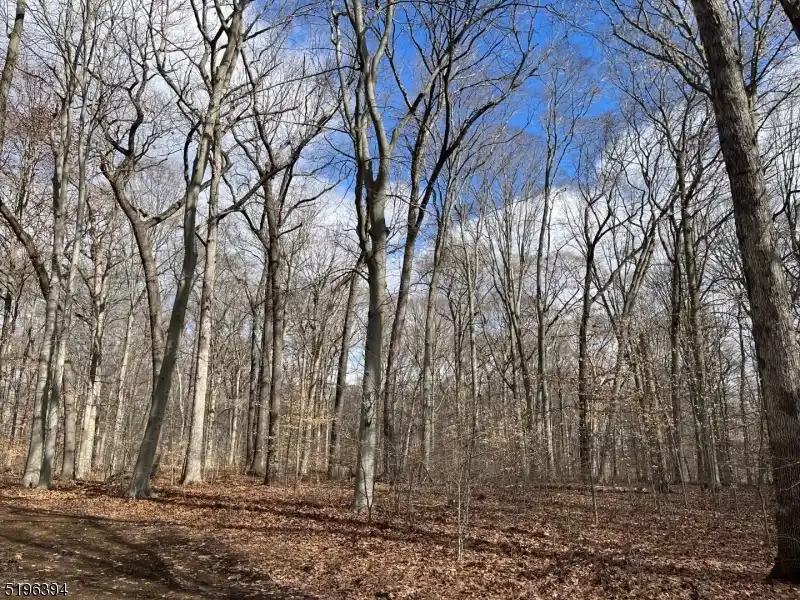 Build Your Dream Home on Six Acres in Singing Wood Farm