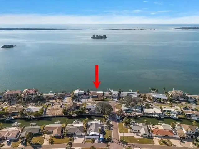 Large Image