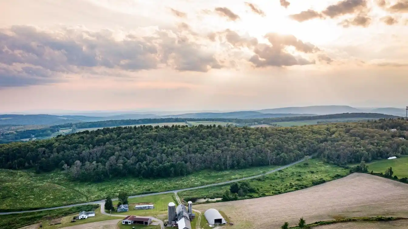 Farm