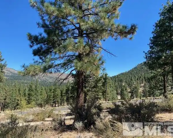 MAGNIFICENT LUXURY LIVING AT CLEAR CREEK TAHOE