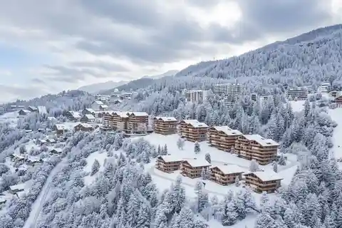 True Art of Mountain Living