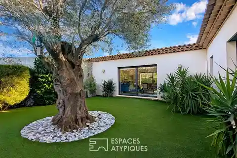 Contemporary Single-Story Villa