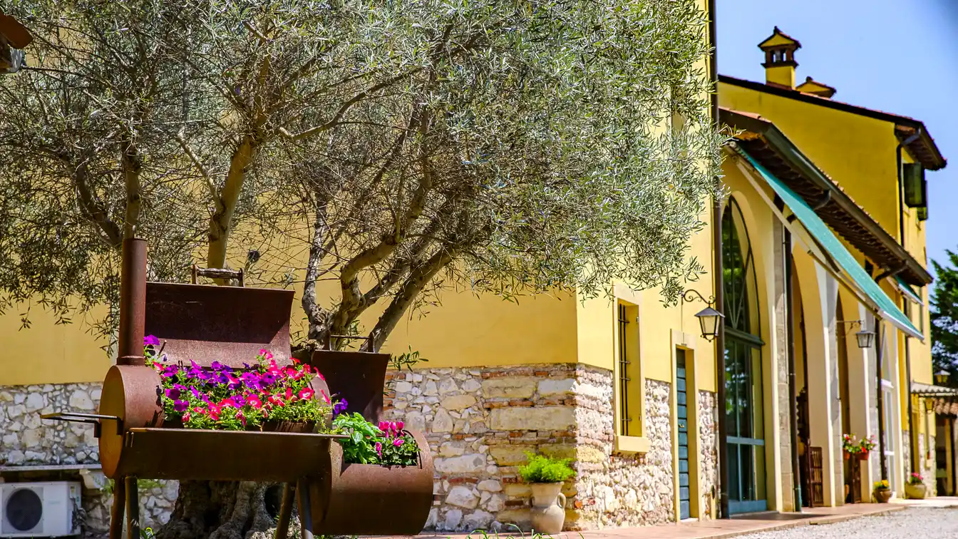 Beautiful Renovated Farmhouse with Large Garden