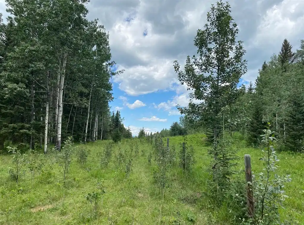 Rare Land Opportunities in the Foothills of Alberta