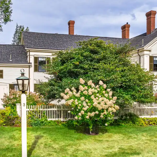 ELEGANT AND SPACIOUS ANTIQUE HOME