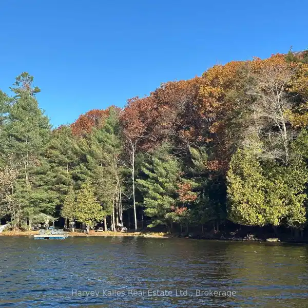 82 ACRE LAKEFRONT PROPERTY WITH ENDLESS POSSIBILITIES