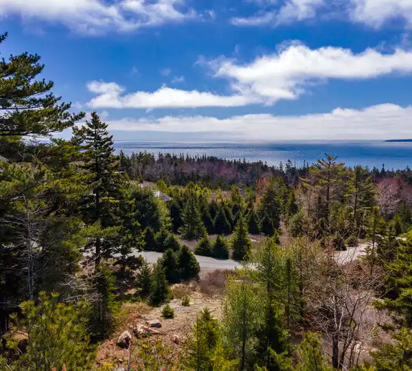 OVER FIVE ACRES ATOP OX HILL