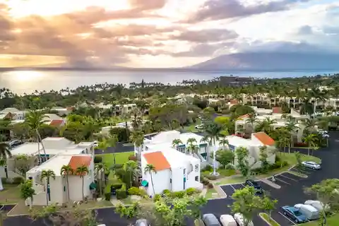 Tranquility on the Top Row of the Palms at Wailea