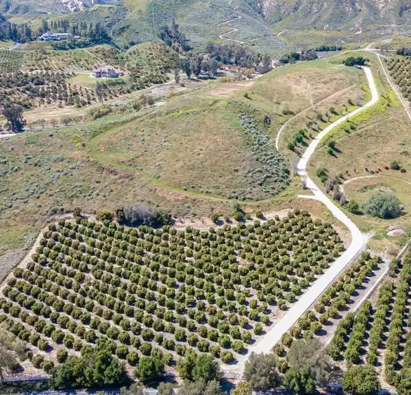20-PLUS ACRES IN SOLANA VERDE ESTATES