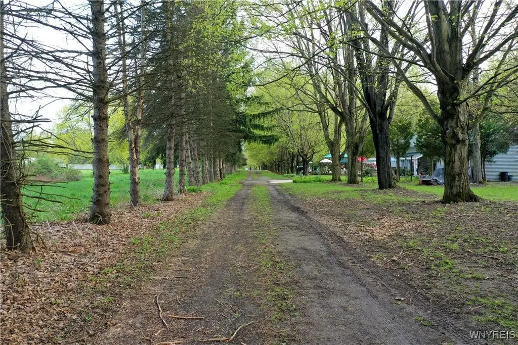 Small Image