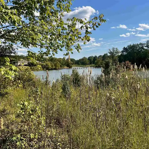 27.5 ACRES OVERLOOKING PRIVATE JAMES LAKE