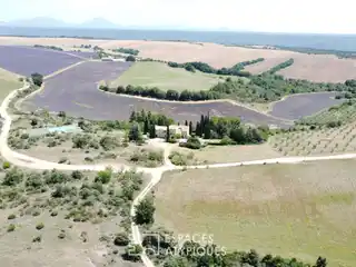 An Idyllic Provencal Art of Living