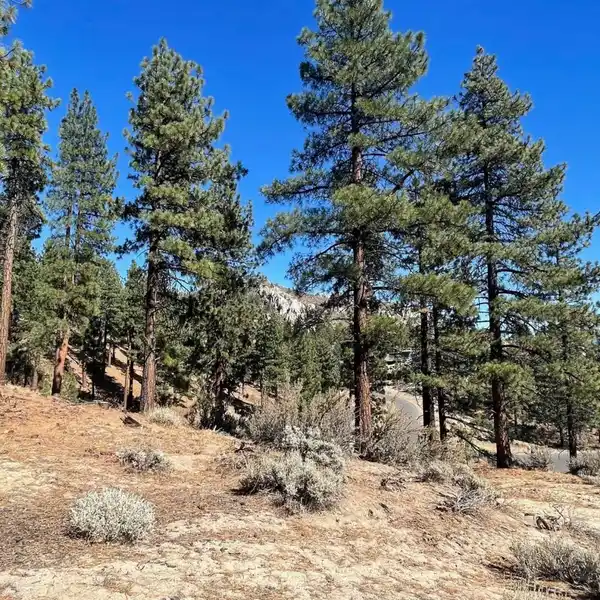 BUILD A DREAM HOME IN CLEAR CREEK TAHOE