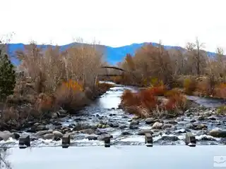 Get Your Own Piece of Rare Earth