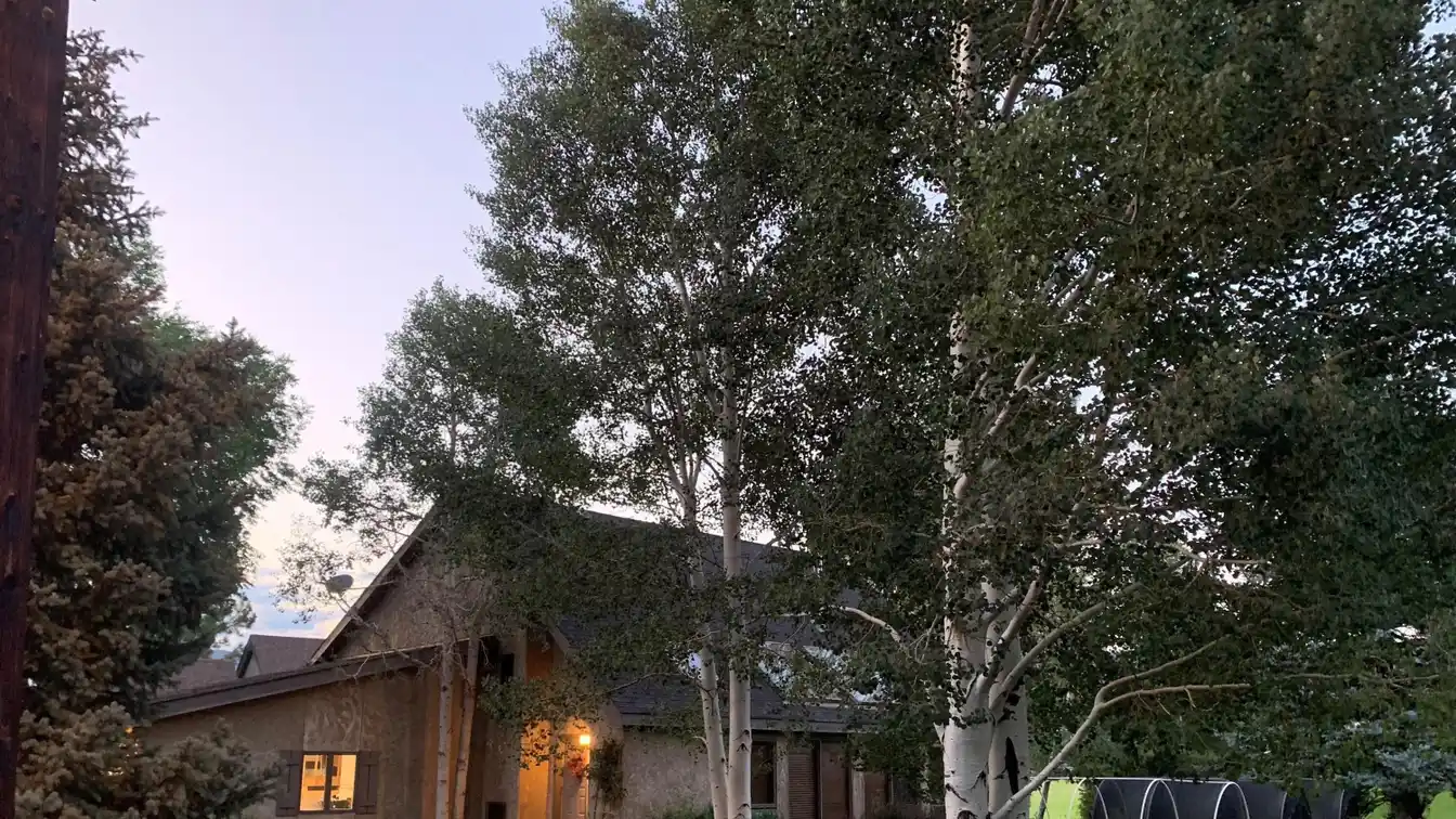 Residential