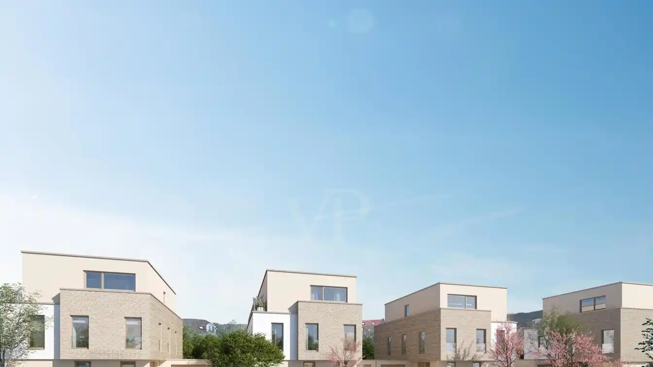 New Contemporary Three Bedroom Home