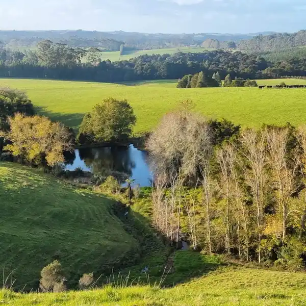 COME BUILD YOUR DREAM HOME ON THIS LARGE HOLDING OF 222 ACRES